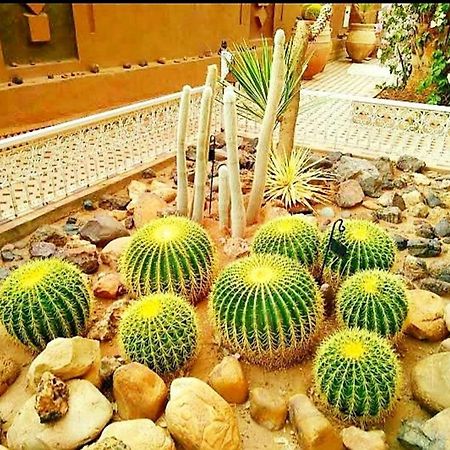 Riad Dar Sofian Zagora Luaran gambar